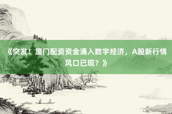《突发！厦门配资资金涌入数字经济，A股新行情风口已现？》