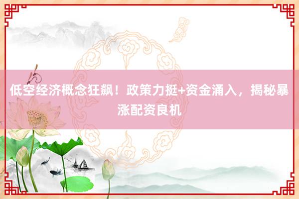 低空经济概念狂飙！政策力挺+资金涌入，揭秘暴涨配资良机
