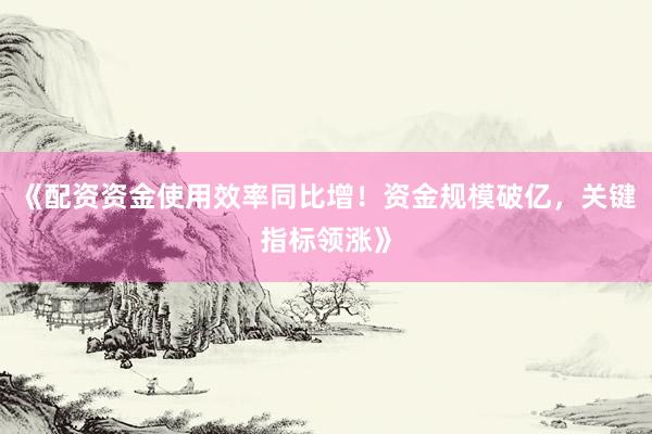 《配资资金使用效率同比增！资金规模破亿，关键指标领涨》