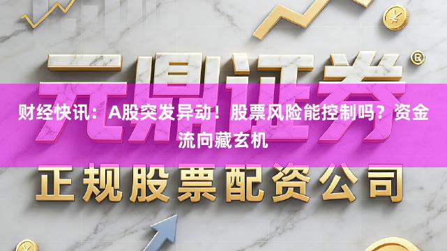 财经快讯：A股突发异动！股票风险能控制吗？资金流向藏玄机