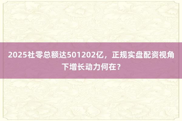 2025社零总额达501202亿，正规实盘配资视角下增长动力何在？