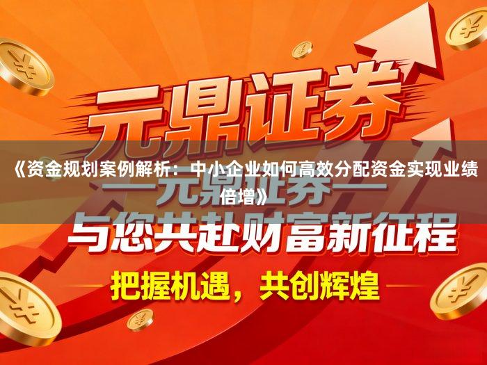 《资金规划案例解析：中小企业如何高效分配资金实现业绩倍增》