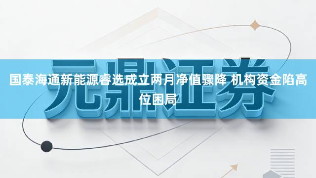 国泰海通新能源睿选成立两月净值骤降 机构资金陷高位困局