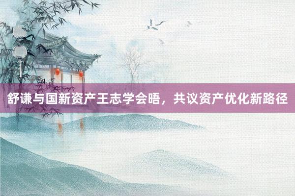 舒谦与国新资产王志学会晤，共议资产优化新路径