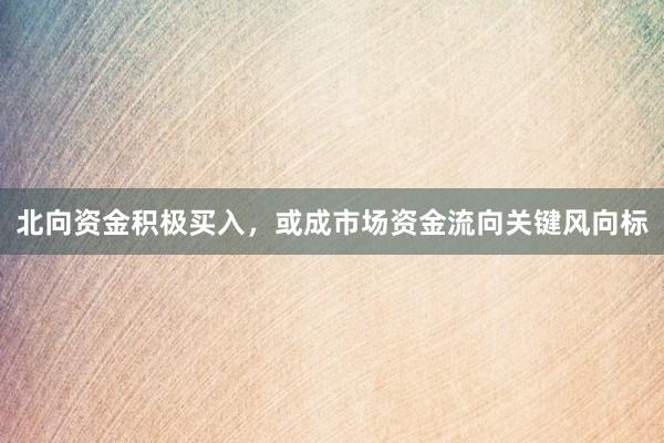北向资金积极买入，或成市场资金流向关键风向标
