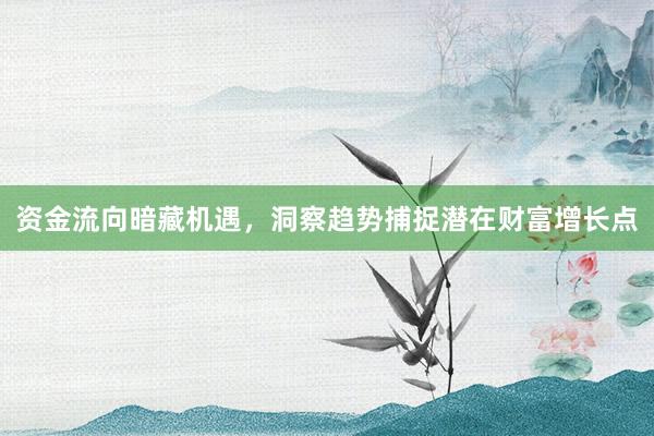 资金流向暗藏机遇，洞察趋势捕捉潜在财富增长点