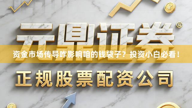 资金市场传导咋影响咱的钱袋子？投资小白必看！