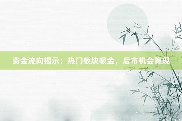 资金流向揭示：热门板块吸金，后市机会隐现