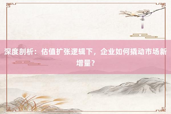 深度剖析：估值扩张逻辑下，企业如何撬动市场新增量？