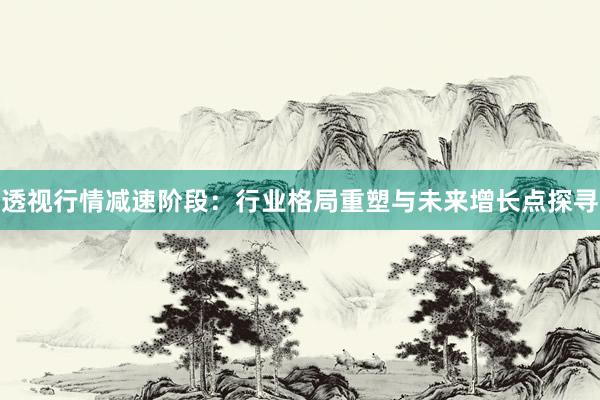 透视行情减速阶段：行业格局重塑与未来增长点探寻