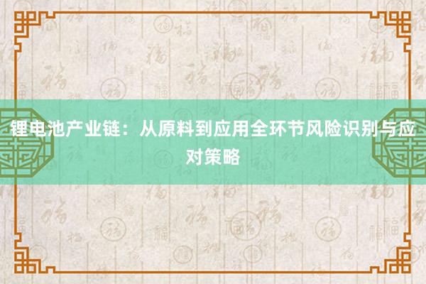 锂电池产业链：从原料到应用全环节风险识别与应对策略