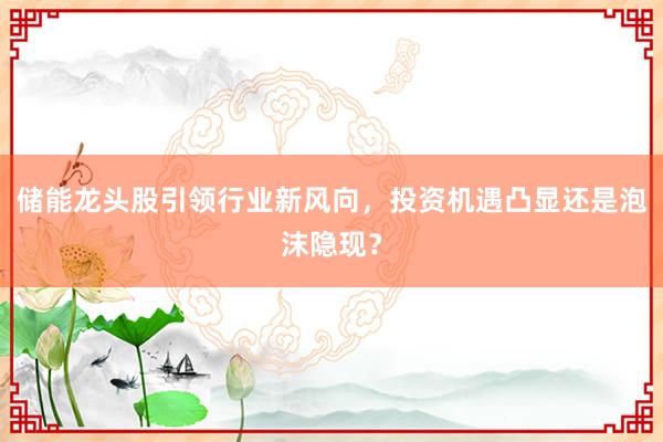 储能龙头股引领行业新风向，投资机遇凸显还是泡沫隐现？