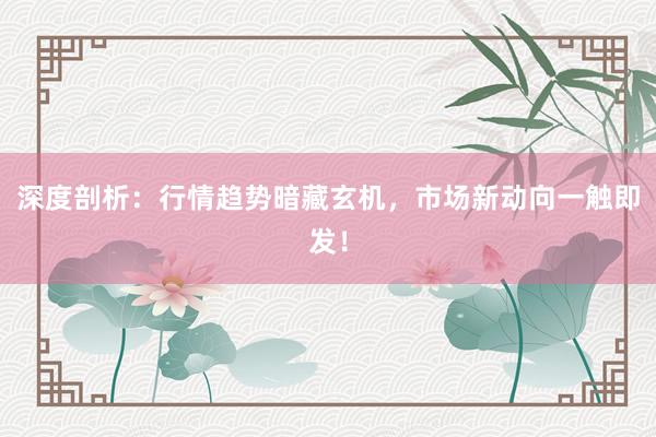 深度剖析：行情趋势暗藏玄机，市场新动向一触即发！