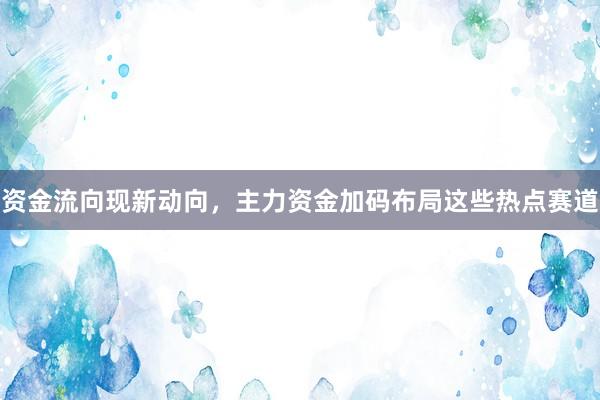 资金流向现新动向，主力资金加码布局这些热点赛道