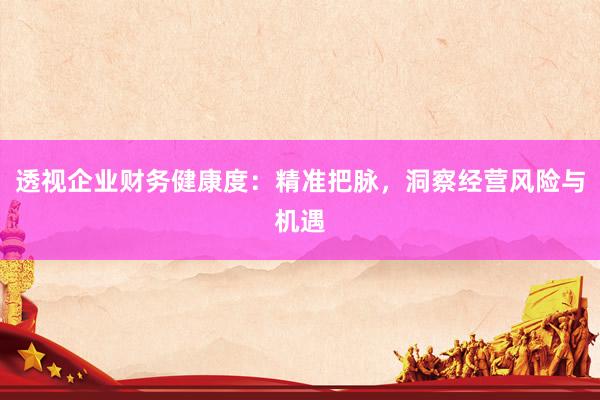 透视企业财务健康度：精准把脉，洞察经营风险与机遇