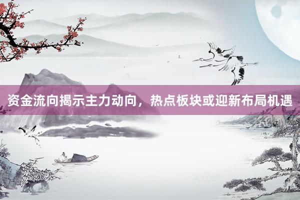 资金流向揭示主力动向，热点板块或迎新布局机遇